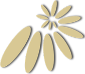 Nautilus Capital Shell Logo